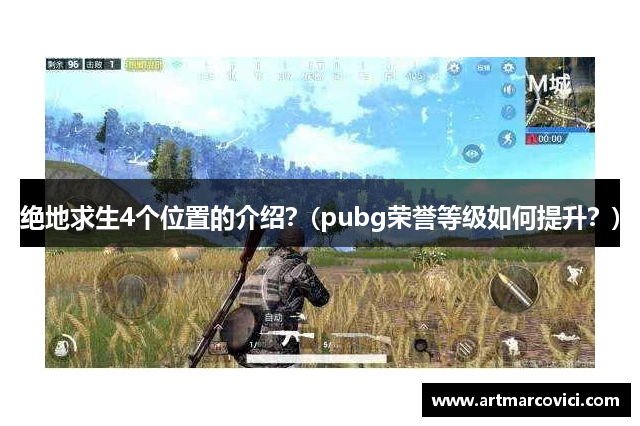 绝地求生4个位置的介绍？(pubg荣誉等级如何提升？)